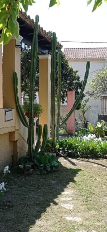 Roula'S House Villa Nymfai Dış mekan fotoğraf