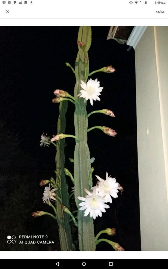 Roula'S House Villa Nymfai Dış mekan fotoğraf