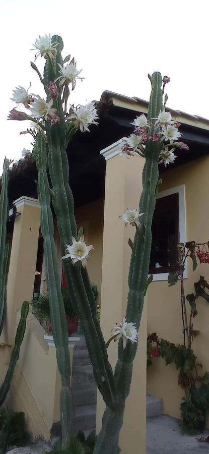 Roula'S House Villa Nymfai Dış mekan fotoğraf